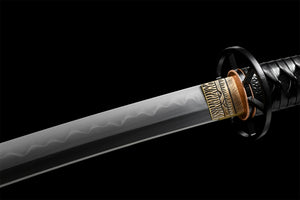 Rurouni Kenshin Katana-Schwert, japanisches Samurai-Schwert, echtes handgefertigtes Katana, Ton gehärteter T-10-Stahl mit Hamon